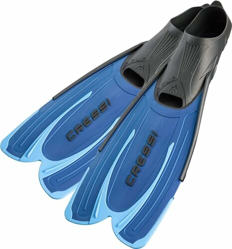 Pair of blue and black Cressi swim fins.