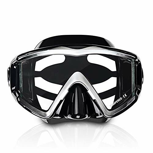 EXP VISION Pano 3-Window Snorkel Mask